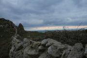 IMG_0894