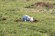 IMG_0313