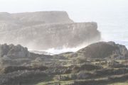 IMG_0316