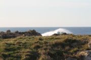 IMG_0348