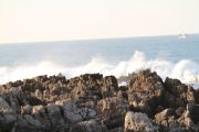 IMG_0362