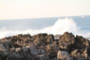 IMG_0363