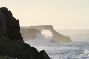 IMG_0375