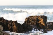 IMG_0381