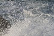 IMG_0409