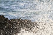 IMG_0411