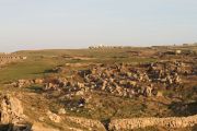 IMG_0449