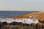 IMG_0451