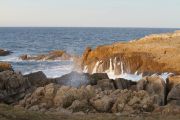 IMG_0452