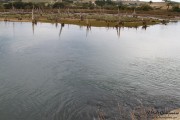 ria_la_rabia_005