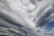 ria_la_rabia_032