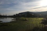 marisma_astillero_006