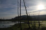 marisma_astillero_008