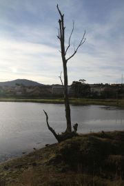 marisma_astillero_016