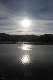 marisma_astillero_018