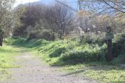 marisma_astillero_036