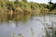 IMG_8343