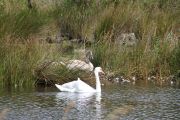 IMG_8352