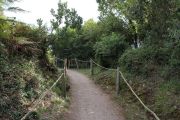 IMG_8357