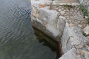 IMG_8406