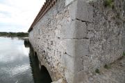 IMG_8417