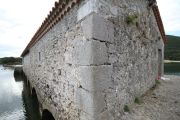 IMG_8419