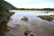 IMG_8437