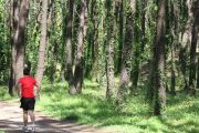 bosque_liencres_012
