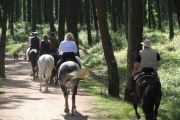 bosque_liencres_018