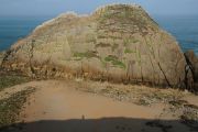 bosque_liencres_040