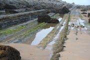 bosque_liencres_044