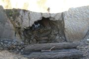 bosque_liencres_052