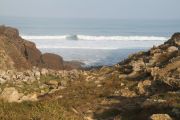 bosque_liencres_020_03