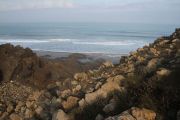 bosque_liencres_020_04