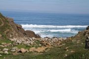 bosque_liencres_022