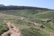 bosque_liencres_024