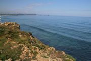 bosque_liencres_030