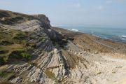 bosque_liencres_038