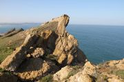 bosque_liencres_055