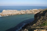 bosque_liencres_060