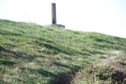bosque_liencres_061