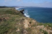 bosque_liencres_064