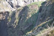 bosque_liencres_065