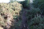 bosque_liencres_067