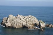 bosque_liencres_070