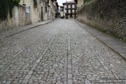 2013_visita_santillana_007