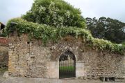 2013_visita_santillana_037