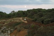 2016_10_necora_paseos_003