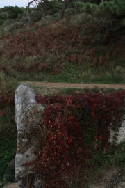 2016_10_necora_paseos_004