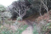 2016_10_necora_paseos_005
